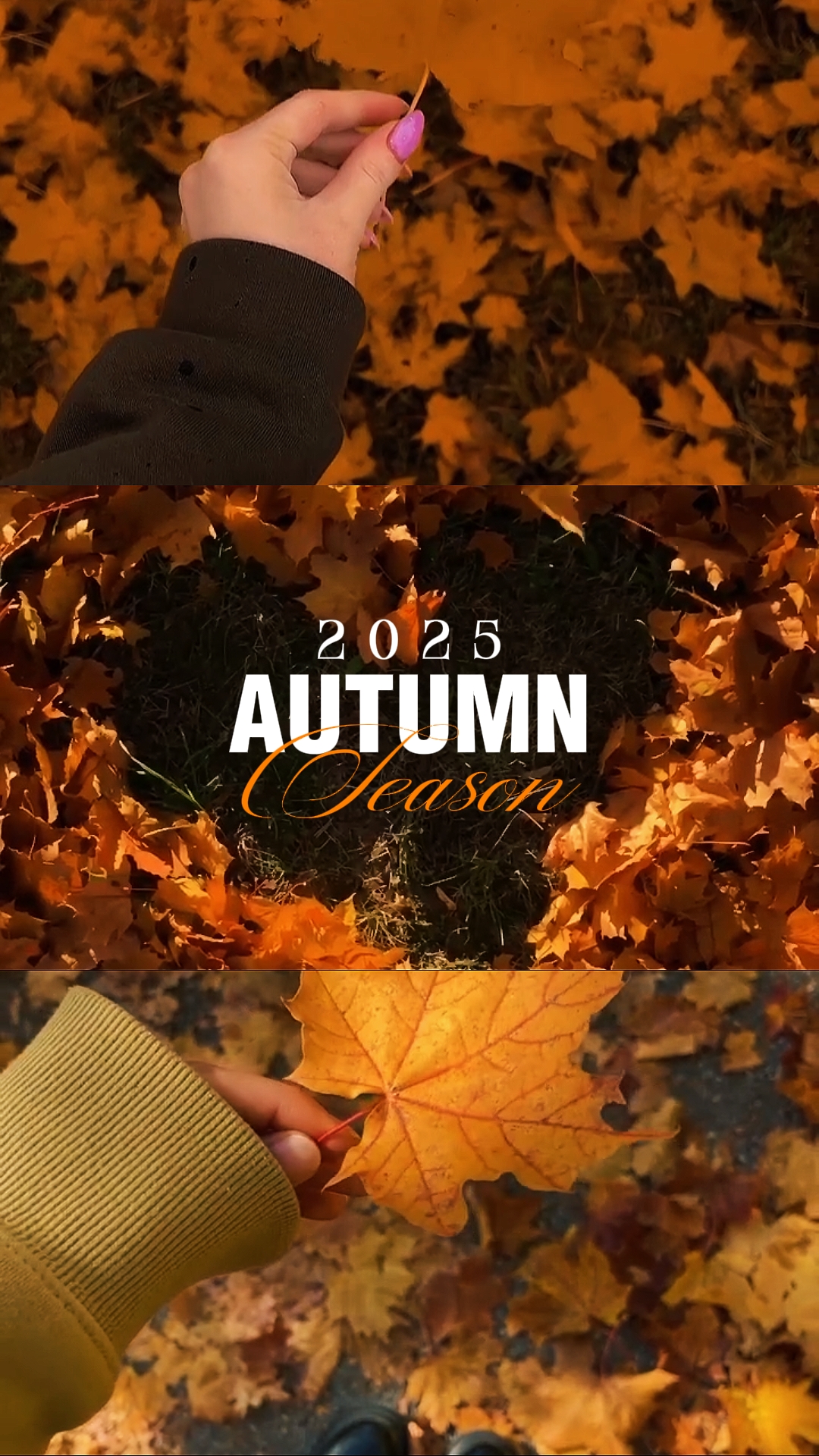 Temporada de otoño