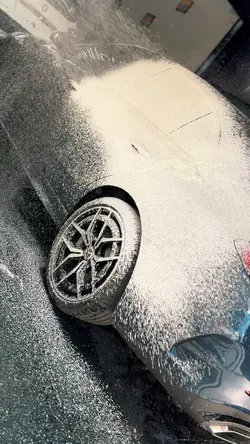 Estética de milhões🏆