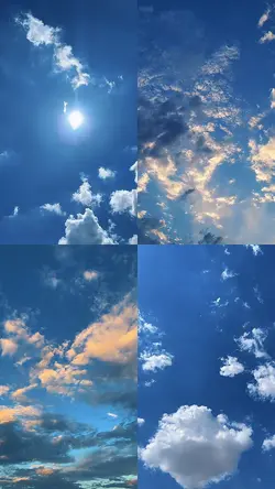 Colagem 4 vídeos