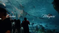 Ocean whispers
