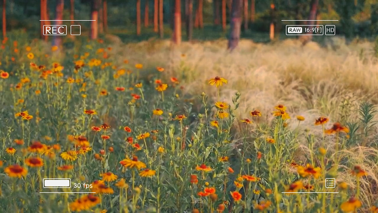 1 vidéo lente ngang