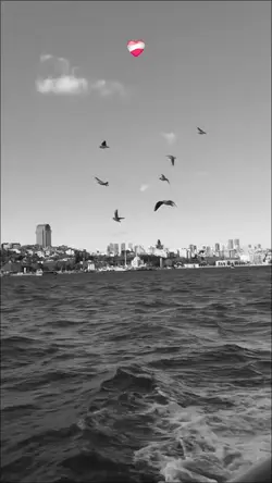 Yeni Ağır Çekim 