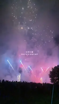 pháo hoa