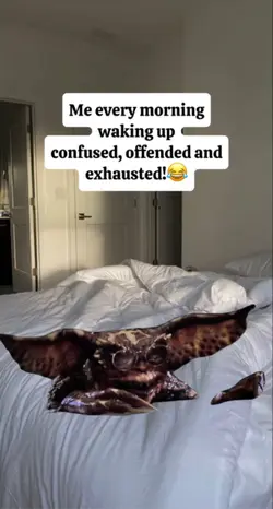 me every morning