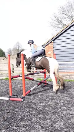 More bridleless!