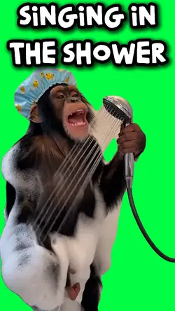 SINGING IN SHOWER