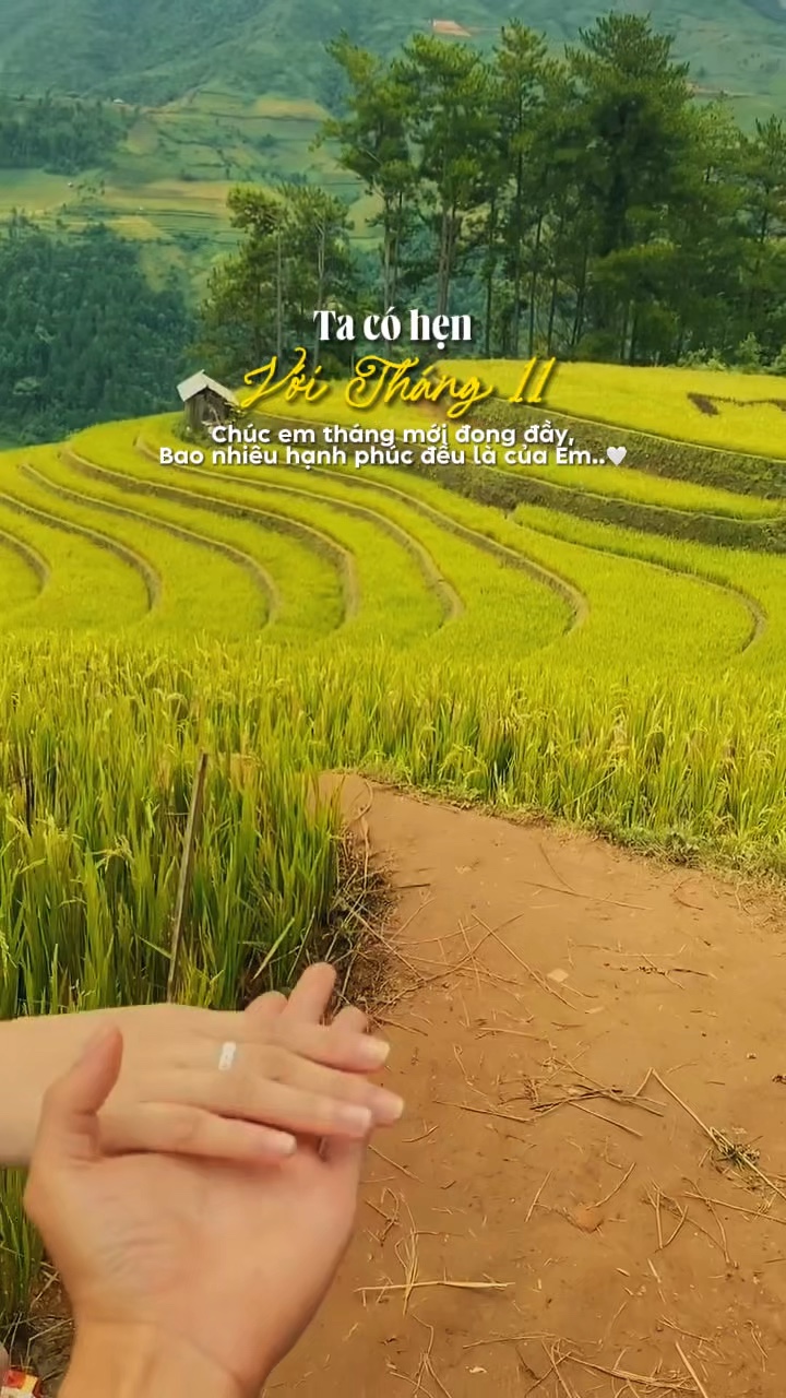 Chào tháng 11