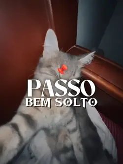 Passo Bem Solto