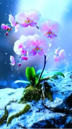 雪山に咲く花
