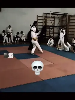 Skull edit