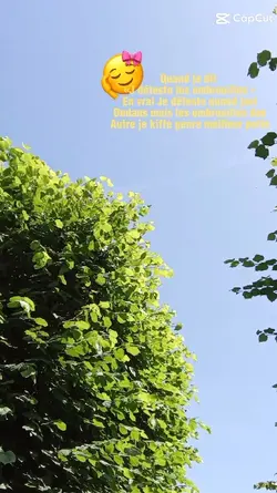 les embrouilles