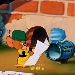 esse é respeitado 