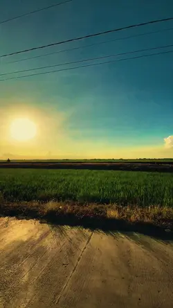 SlowMo ☀️☀️☀️☀️