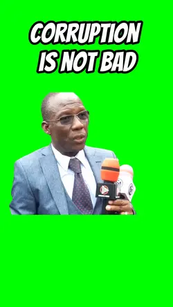 Corruption isn't bad