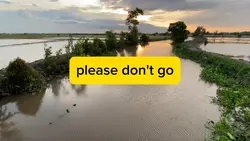 Please don't go