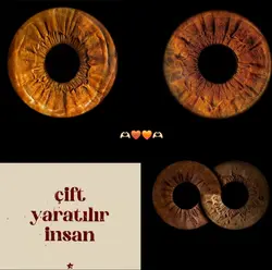 YENİ ŞABLON GELDİİ 