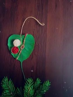 Happy raksha bandhan