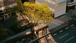 Somewhere in Sendai