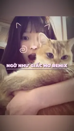 Ngỡ Như Giấc Mơ
