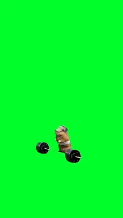 Hamster Workout