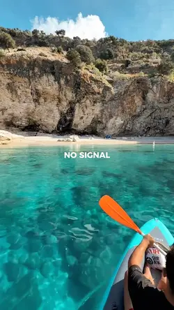 Beach Vibes