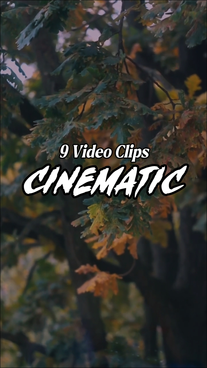 9 Vídeos Clipes