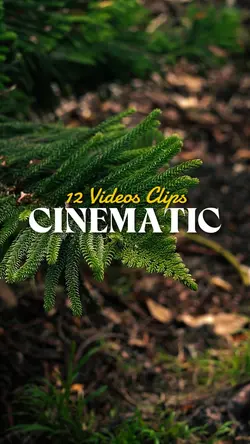 12 Clips CINEMATIC