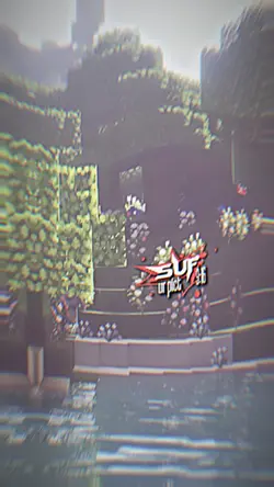 phonk!