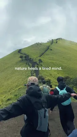 nature vibes