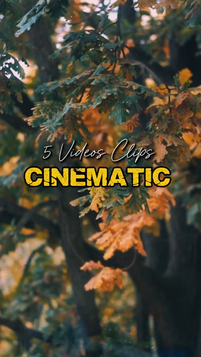 Cinematic 5 Videos 