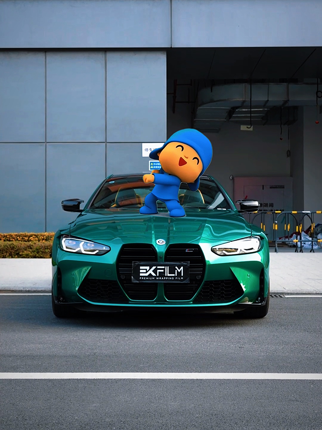 POCOYO TREND