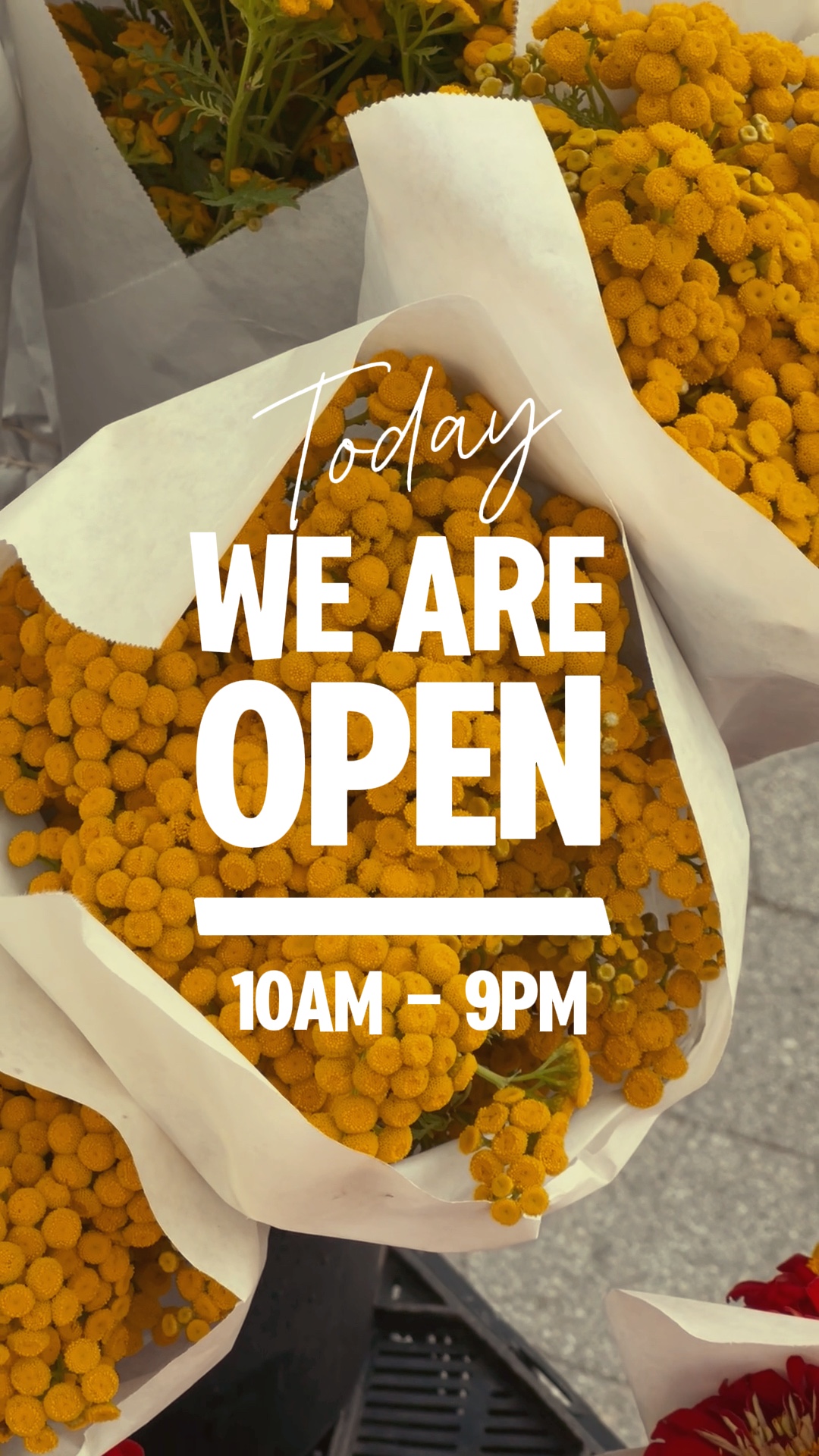 We Are Open 1 foto