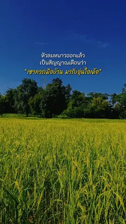 ฤดูกาลที่รอคอย