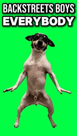 EVERYBODY DOG DANCE