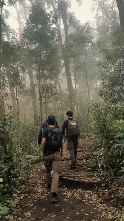 Sagara
