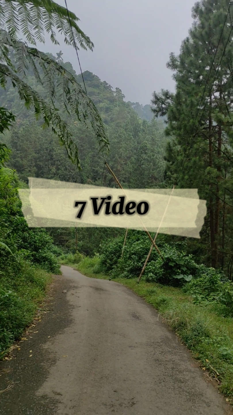 7 Video