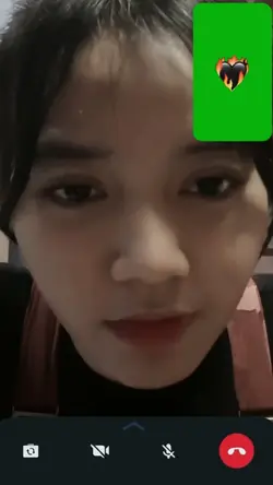 vc halu trend 