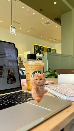 dancing cat