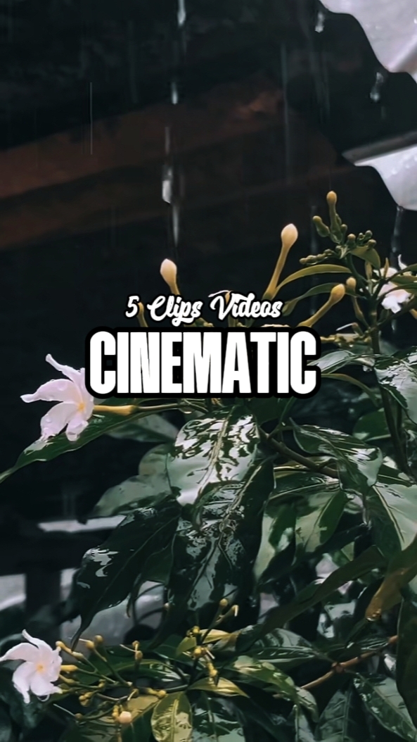 5 Clips cinématiques 