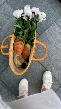 Aesthetic vibes 
