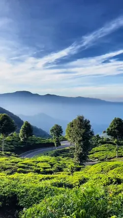 kemewahan dunia ini
