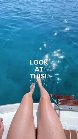 look at this!