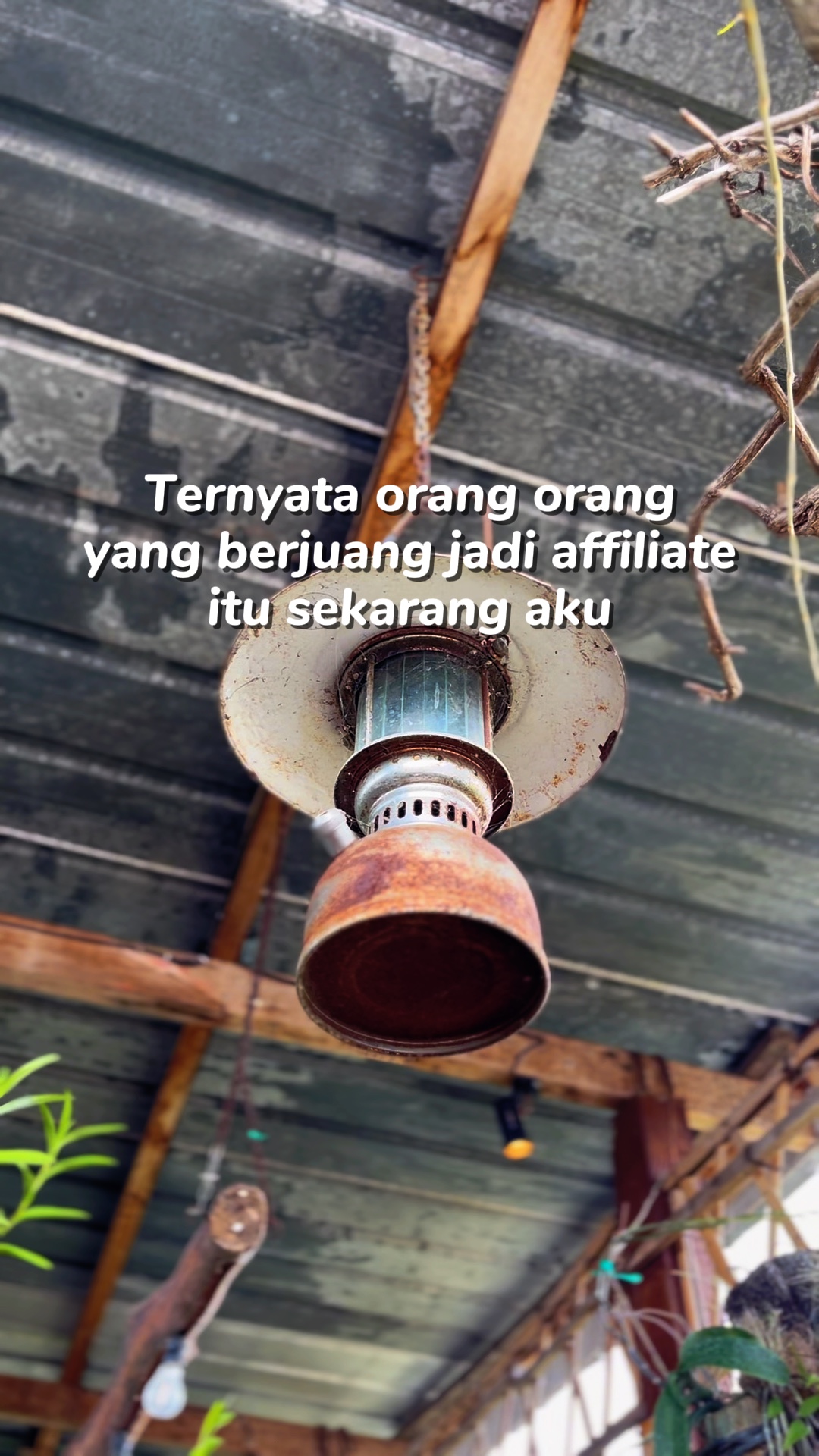 affiliate pemula