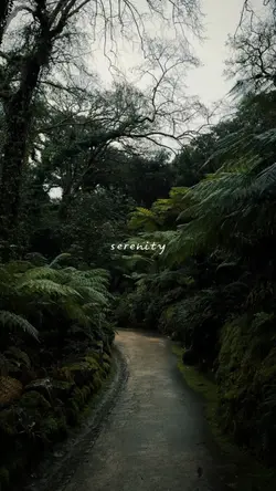 serenity