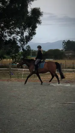 So soaked🌨️🤎