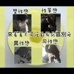 讓我們看看不同性取向的區別吧