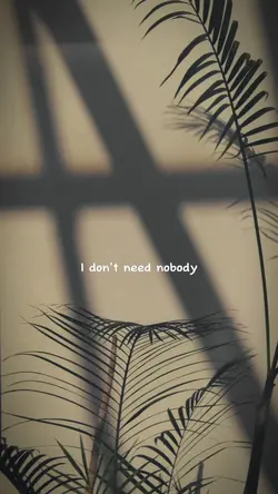 I don't need nobody 
