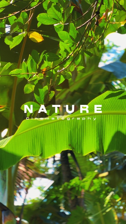 Nature Cinematic HD