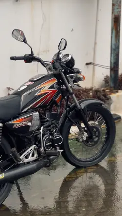 Rindiani Rx king