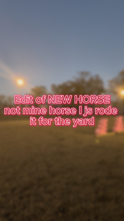 THE NEW HORSE I RODE